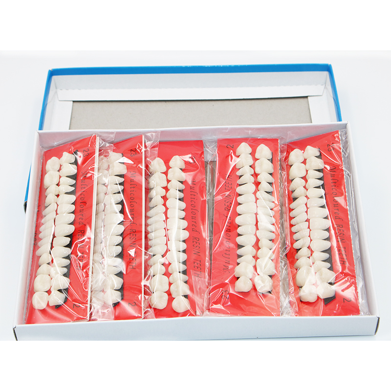 Model Kit Tools - 10 conjuntos de modelos de dentes