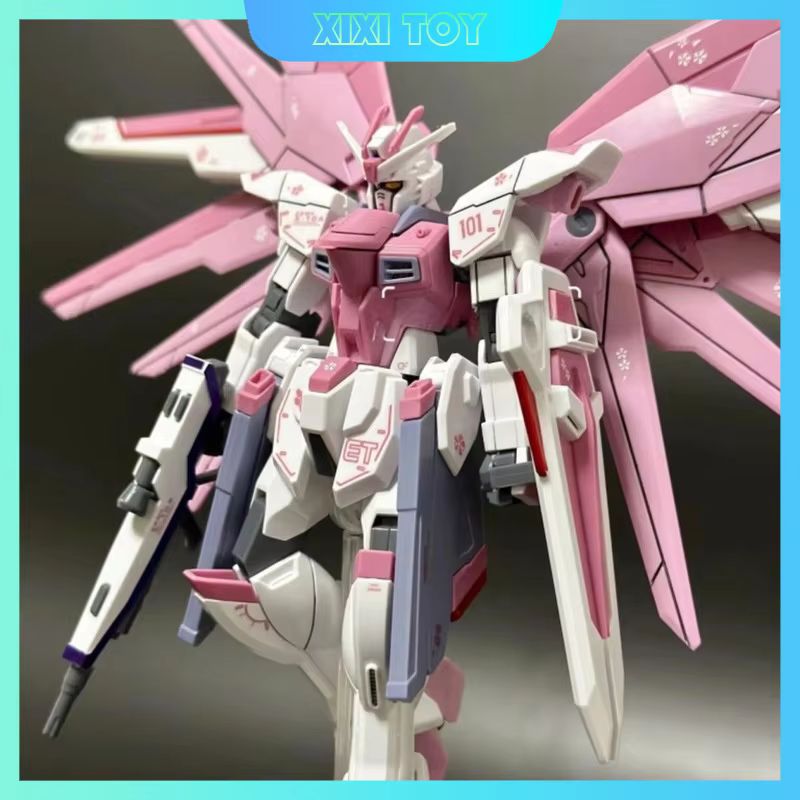 Model Kit Pg - Jms hg 1/144 ZY-06 liberdade assalto