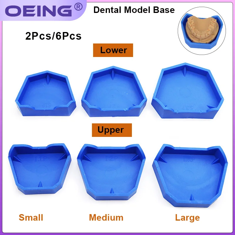 2/6 pçs modelo dental base de  - Model Kit Tools avaliação e preço
