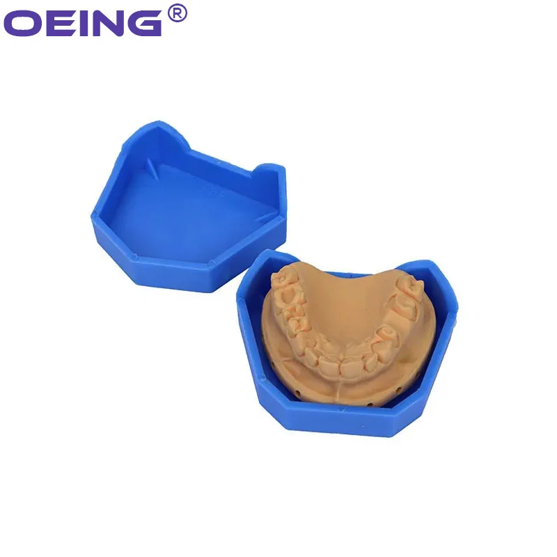 2/6 pçs modelo dental base de  - Model Kit Tools avaliação e preço